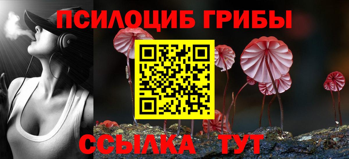 Псилоцибиновые грибы Psilocybine cubensis Губаха